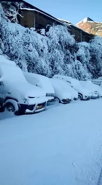 #snow #kufri #shimla