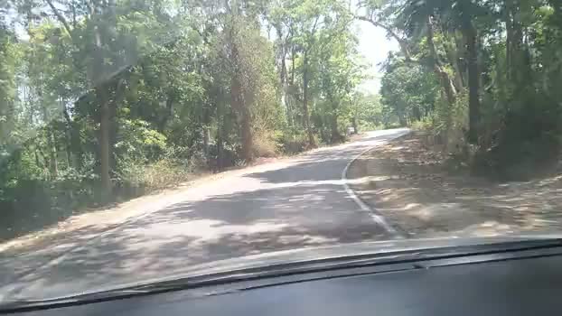 चुनावी गरमा गर्मी के बीच दक्षिण भारत की सुंदरता ने मन को शांत कर दिया है #south_इंडिया #bjp #life