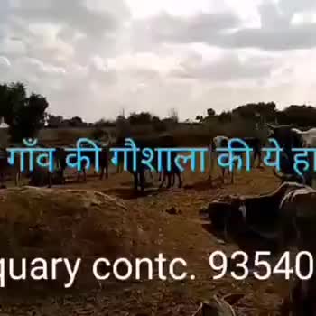गौ हत्या #सरेआम क़त्ल #
भेजो #योगीजी