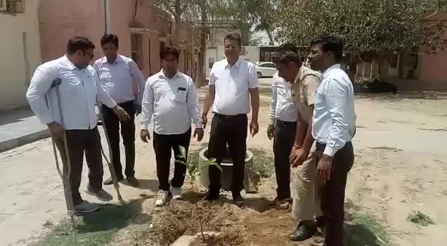 #मिशन बलजोत के तहत #न्यायाधीश राजेश कुमार गजरा ने #न्यायालय परिसर में किया #पौधारोपण