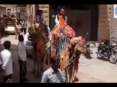 नागौर जिला मुख्यालय पर धुमधाम के साथ मनाई सेन जयंती, शोभायात्रा में नाचते गाते नजर आये सैन समाज के लोग। #Dharm