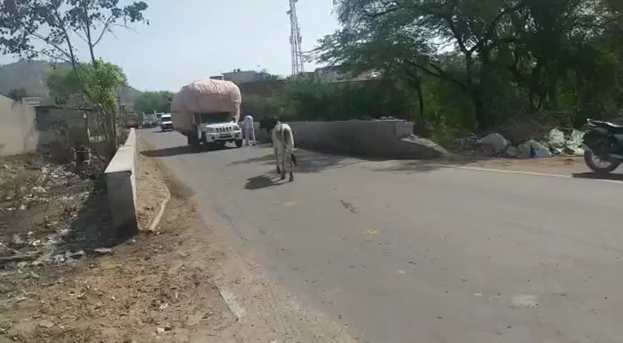 खेतड़ी: हादसों को निमंत्रण देते तुडी से भरी #ओवरलोड #गाड़ियां