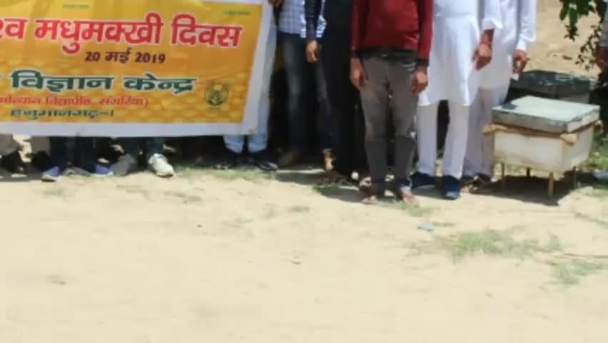 #संगरिया-#विश्व मधुमक्खी दिवस का हुआ कृषि विज्ञान केंद्र में आयोजन #57 किसानों ने लिया कार्यक्रम में भाग