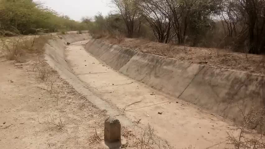 सिरोही जिले के शिवगंज में बारिश नहीं होने के कारण सूखी नहरें से किसान परेशान।