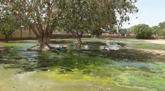 श्रीगंगानर के विजयनगर में खेल मैदान में जमा हुआ बरसात का पानी