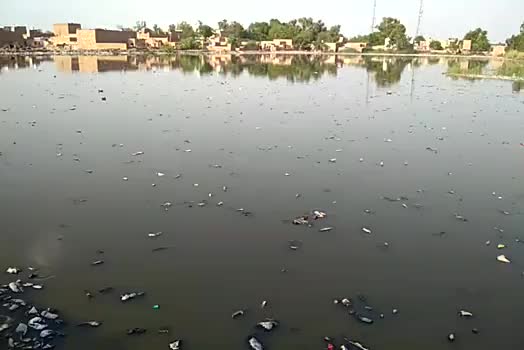 श्रीगंगानगर के विजयनगर में गंदे नाले का पानी ओवरफ्लो की कगार पर